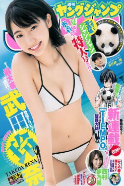 明季北略